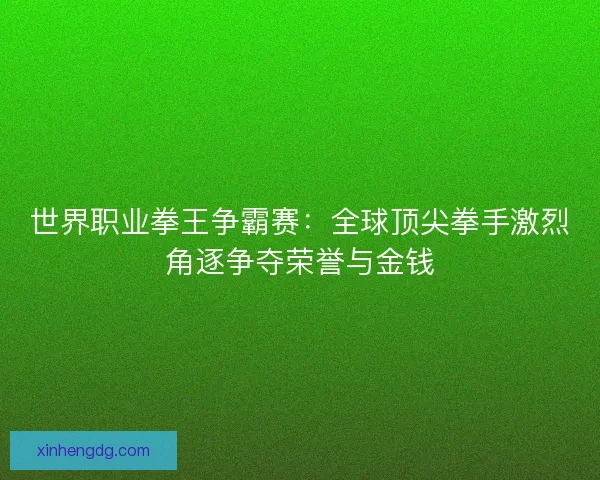 世界职业拳王争霸赛：全球顶尖拳手激烈角逐争夺荣誉与金钱