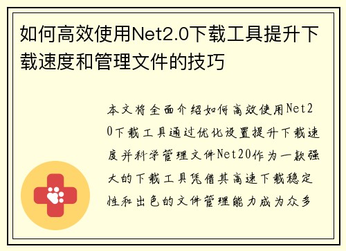 如何高效使用Net2.0下载工具提升下载速度和管理文件的技巧